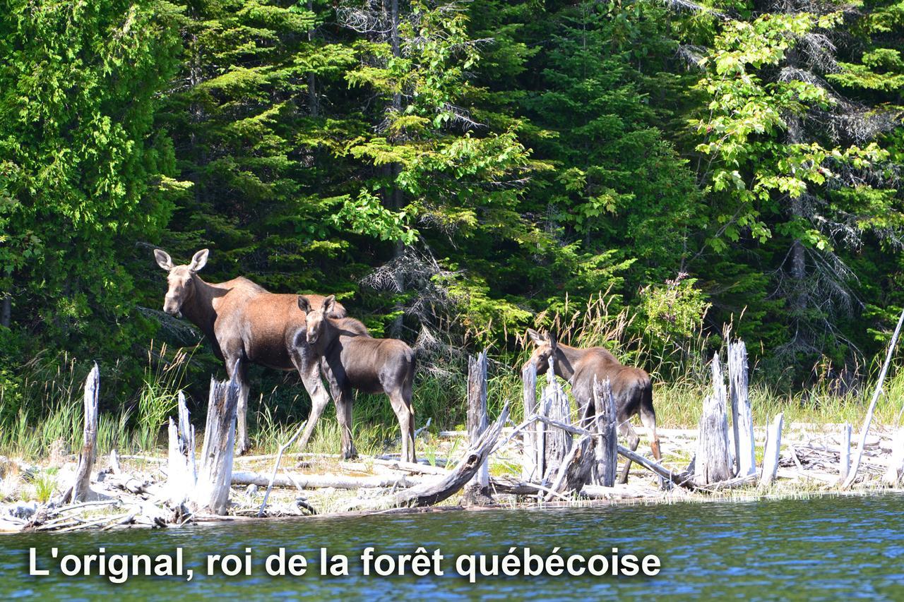 Club Tadoussac Villa Bagian luar foto